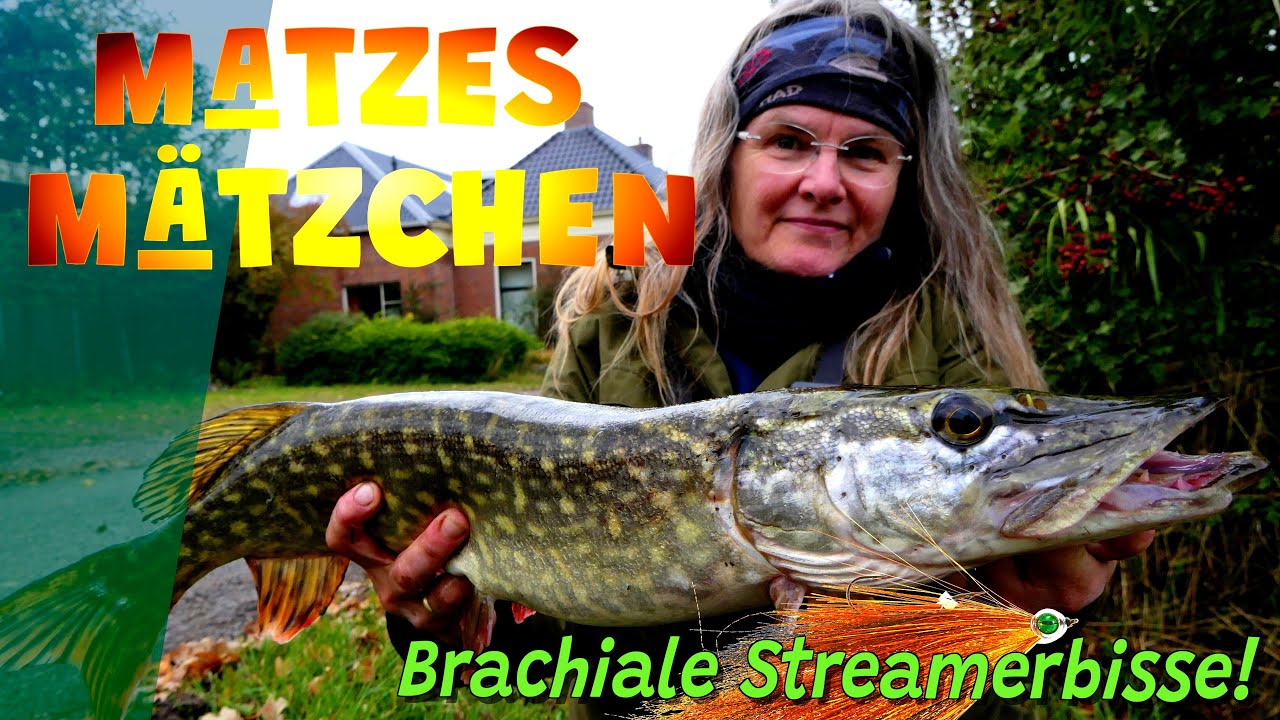 Matzes Mätzchen - Brachiale Streamerbisse! - 01-2026