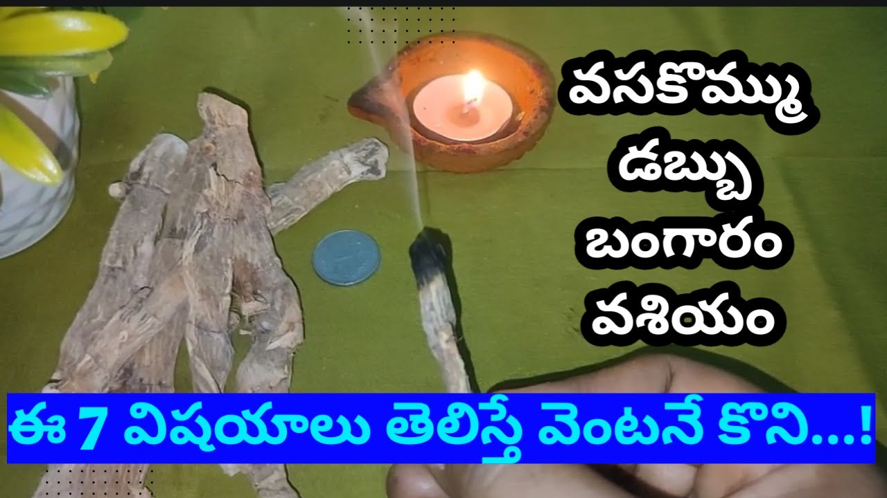 వసకొమ్ముతో బంగారం , డబ్బు వశియం 7 విషయాలు తెలుసుకుంటే వెంటనే వెళ్లి కొని తెచ్చుకుంటారు, శుక్రవారం...