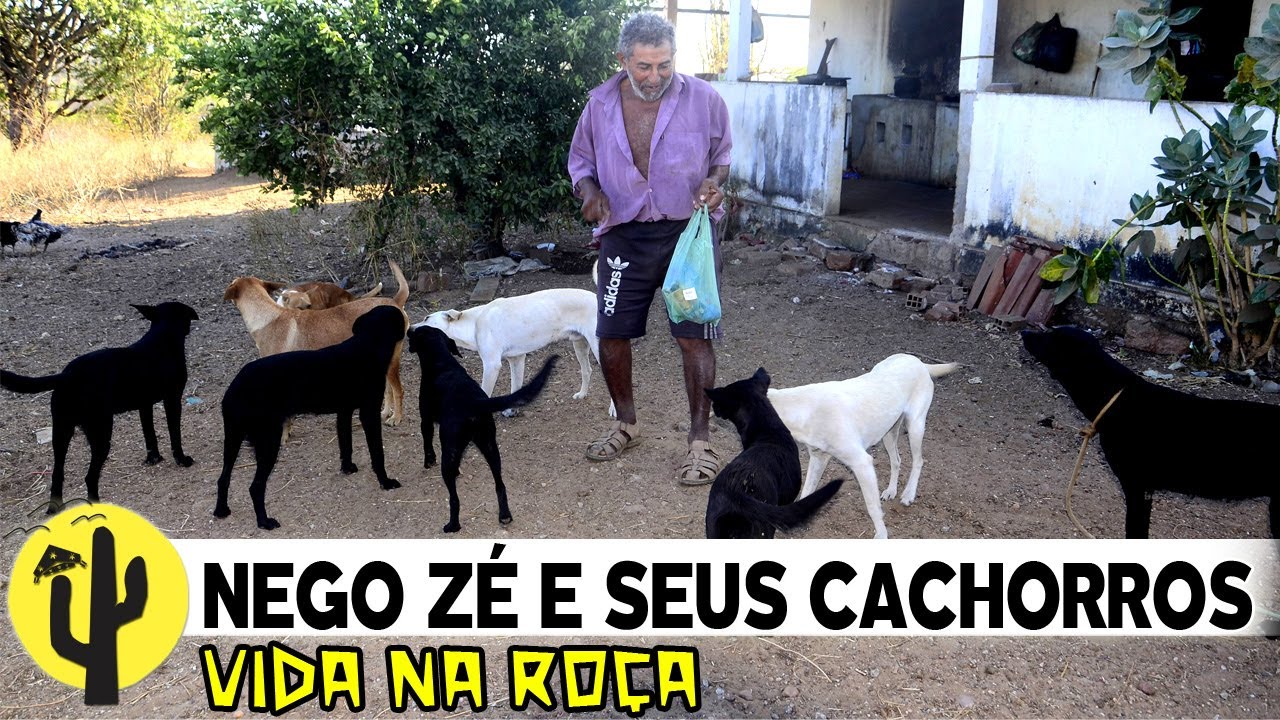 [VIDA NA ROÇA] Visitamos o Agricultor NEGO ZÉ, sempre na Lida e Rodeado de Cachorros - Parte 01 🌵
