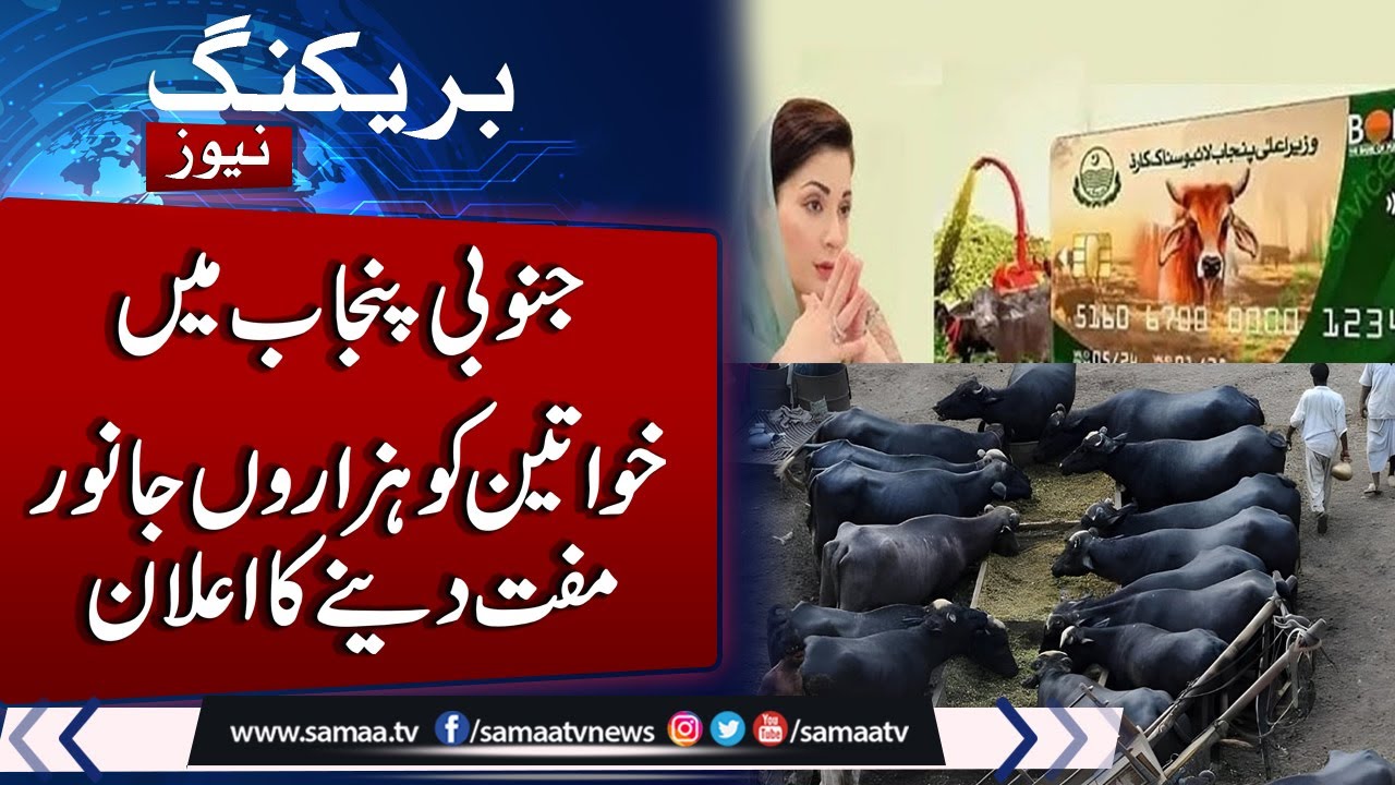 CM Punjab Maryam Nawaz's to give cattle worth Billions to Thousands  rural women