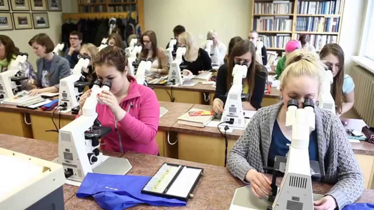Study Veterinary Medicine in Tartu!