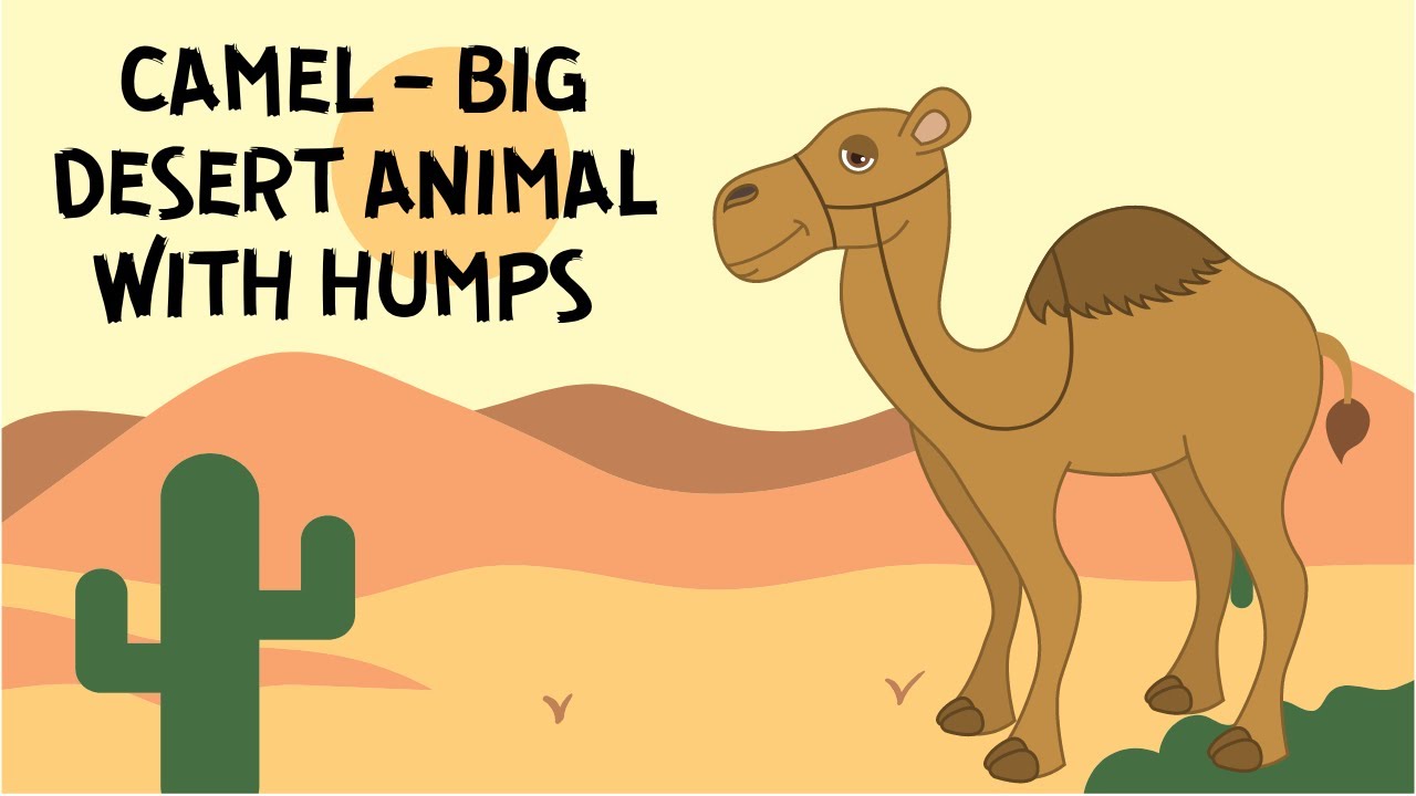 ALL ABOUT CAMELS FOR KIDS | CAMEL - BIG DESERT ANIMAL WITH HUMPS | LEARN CAMELS | DONUT KIDS TV