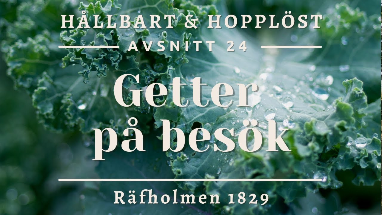 Getter på besök (Avsnitt 24)