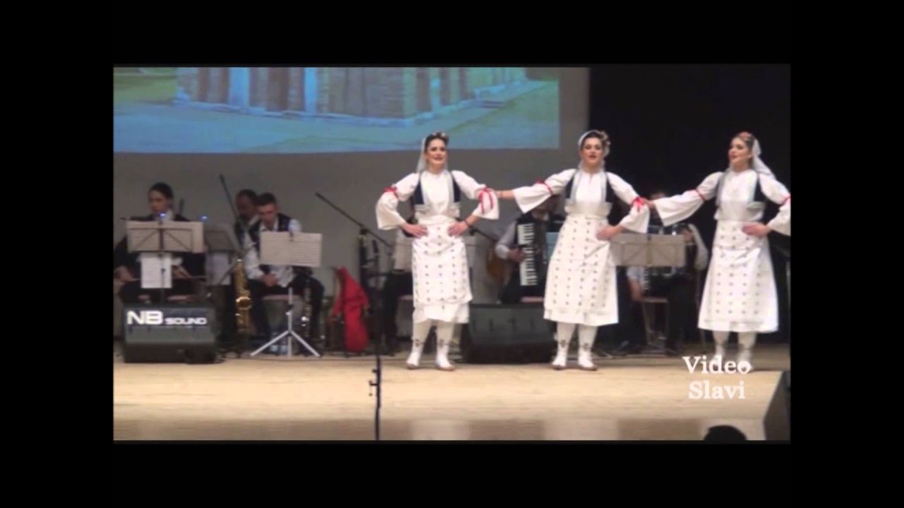 SKUD Vuk S. Karadzic Schönenwerd - Igre i pesme iz Kosovskog pomoravlja - 15 Godina Koncert