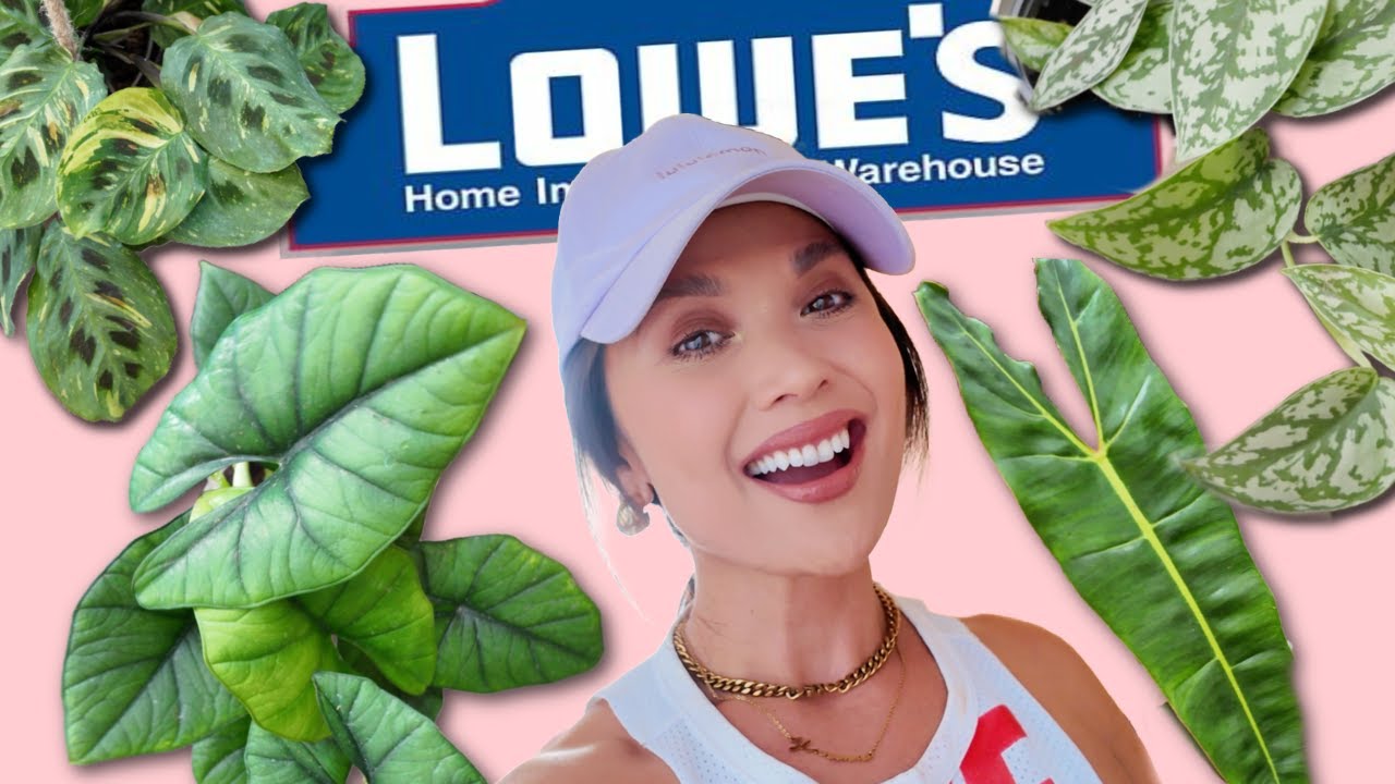 Big Box Plant Shopping at Lowes & Home Depot!