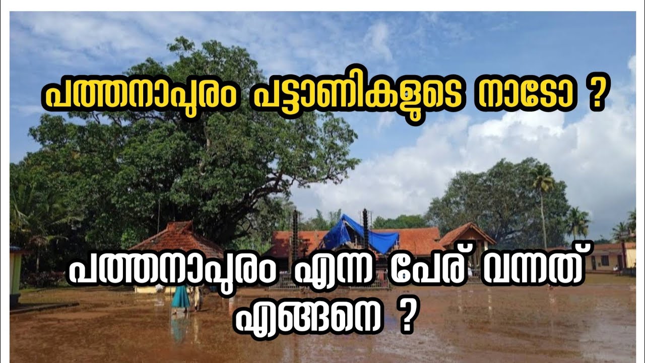 പട്ടാണികൾ തിങ്ങിനിറഞ്ഞ പത്തനാപുരത്തിന്റെ പ്രാദേശിക ചരിത്രം Pathanapuram History | #kollam