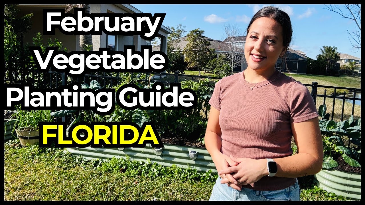 30 Crops Every Florida Gardener Should Start in February
