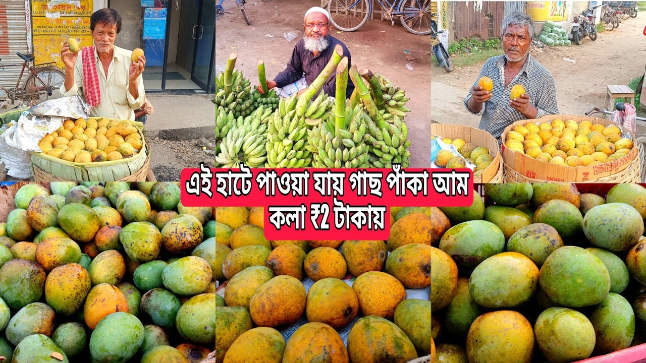 Mango Only RS.6/- || Awalsiddhi Mango Wholesale Market || Fruits Market in West Bengal ||