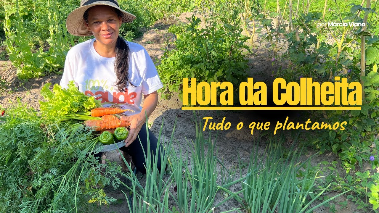 Hora da Colheita - Tudo o que Plantamos Está Pronto #02
