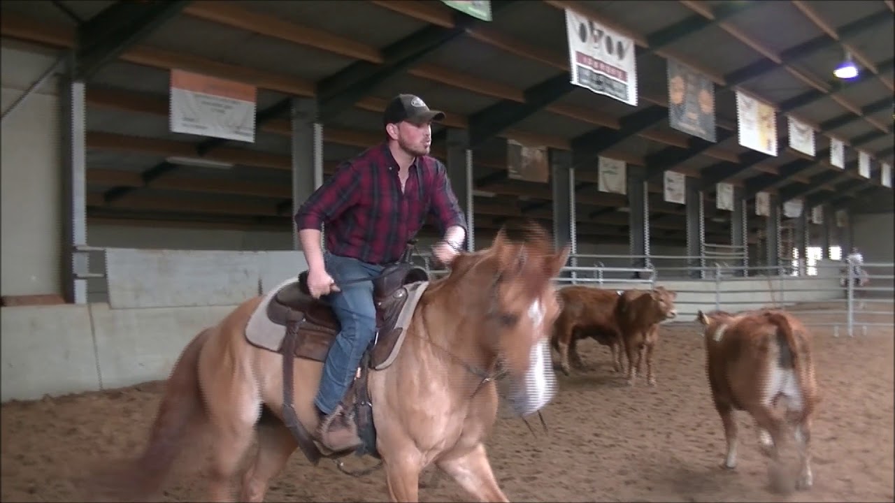 Cowboys in Merkelbeek! 3 man/2  gates at T&C Westernstables