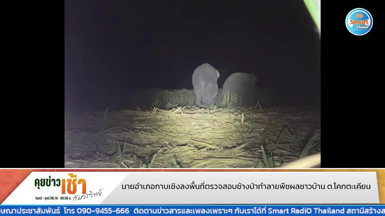 🔴 Live : คุยข่าวเช้ากับวรวิทย์ วันที่ 5 ก.พ. 69