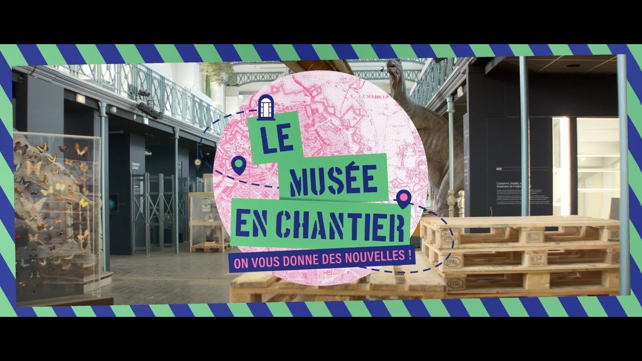 Musée en chantier / Episode 1 : Le grand déménagement !