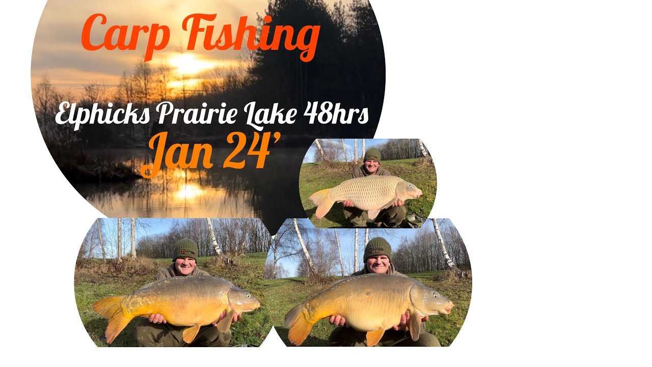 Carp Fishing -Elphicks Prairie Lake 48hrs- Jan 24’