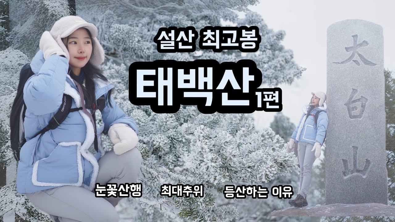 설산 최고봉 눈꽃산행 태백산☃️ 등산초보도 가능한 이 곳❄️