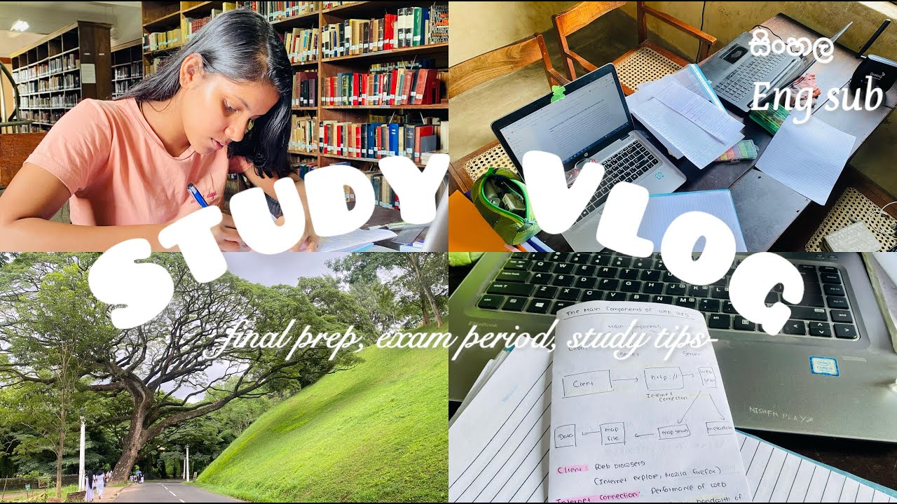 Exam Study Day Vlog | Finals Prep | library එකේ දවසම පාඩම් කරමුද?