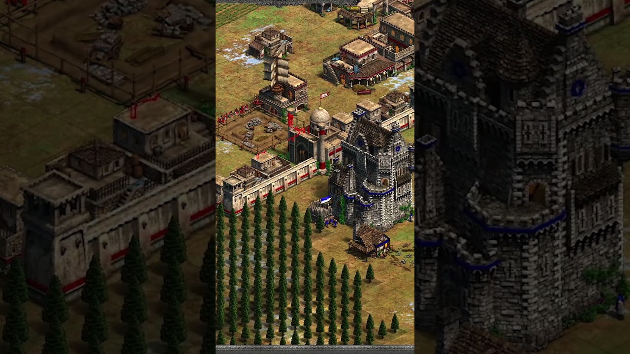 We both dropped castle | only one survived | AoE2