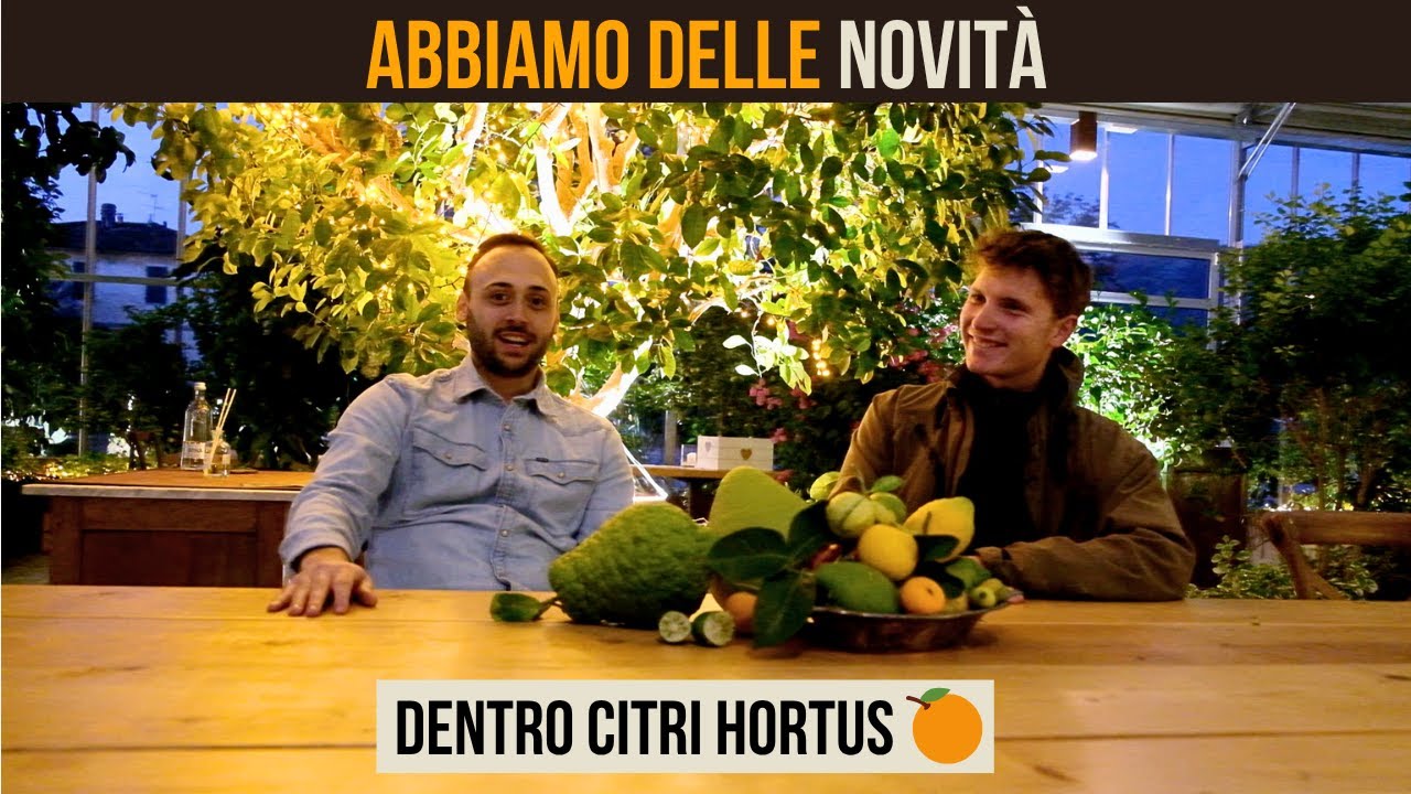 Scopri la serra di agrumi pi&ugrave; bella d&rsquo;Italia! 🍋 🍊 @agrumilenzi2148