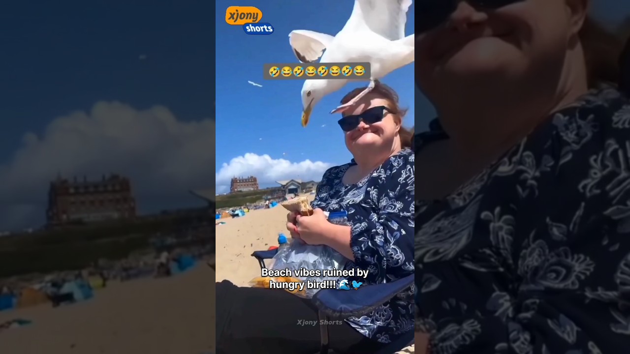 Non-Stop Laughs! 😂🔥 #viral #shorts #funny #fails