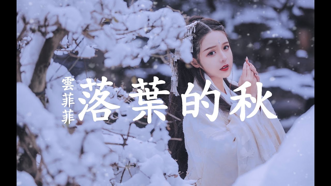 雲菲菲【落葉的秋】看片片殘葉離開了枝頭，看大雁南飛不再回首【動態歌詞Lyrics】