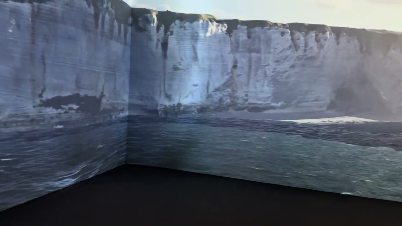 Étretat, l'expo qui fait voyager au musée des Beaux Arts de Lyon