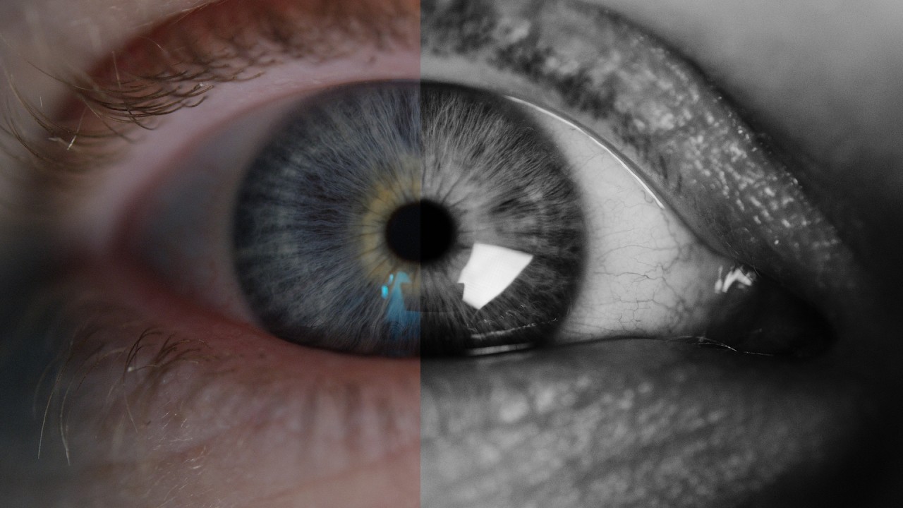 Want Better Footage? Start Seeing in Black & White.