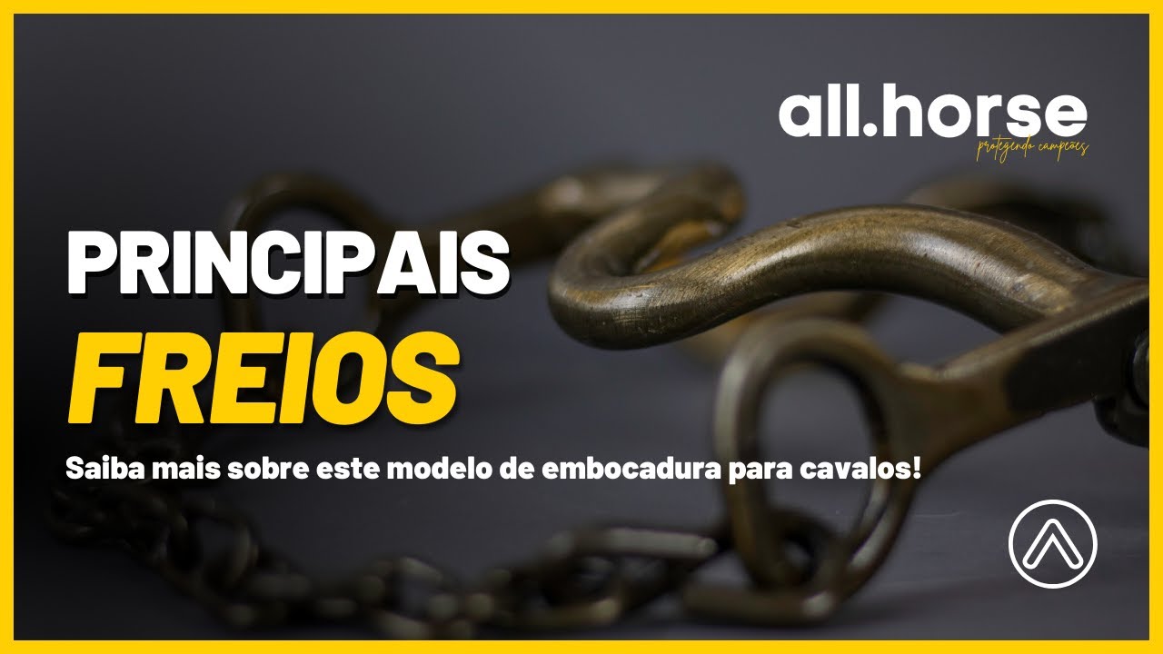 Freios | Saiba mais sobre este modelo de embocadura!