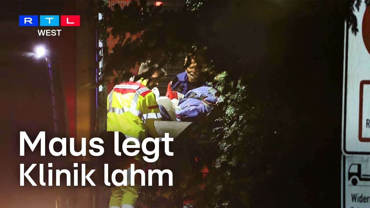 Klinik in Radevormwald lahmgelegt – Maus knabbert Stromleitung an | RTL WEST
