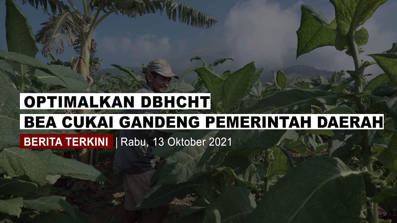Optimalkan DBHCHT, Bea Cukai Gandeng Pemerintah Daerah