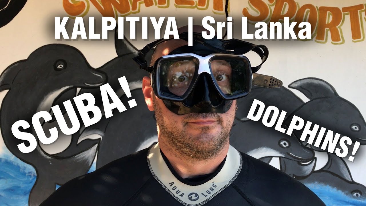 Dolphin watching and scuba diving in Kalpitiya, Sri Lanka
