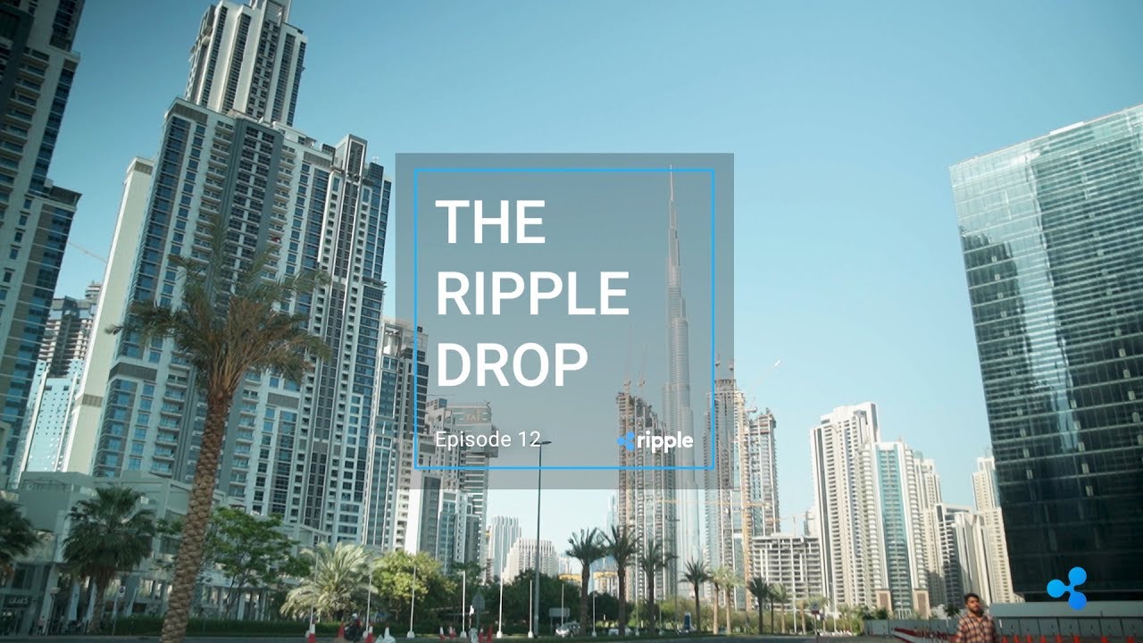 The Ripple Drop - Episode 12