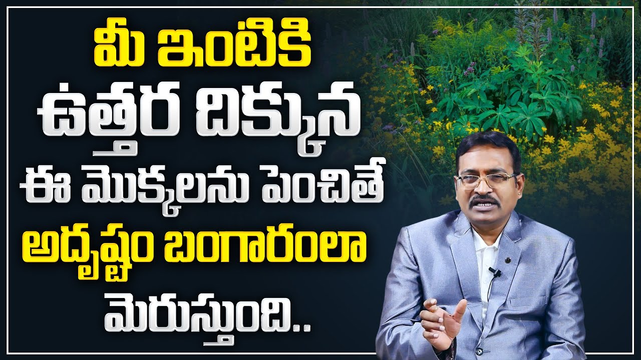 BVSS Reddy :  Lucky Plants for Home | Vastu Plants | Best Indoor Plants | Best Vastu Tips | M Qube