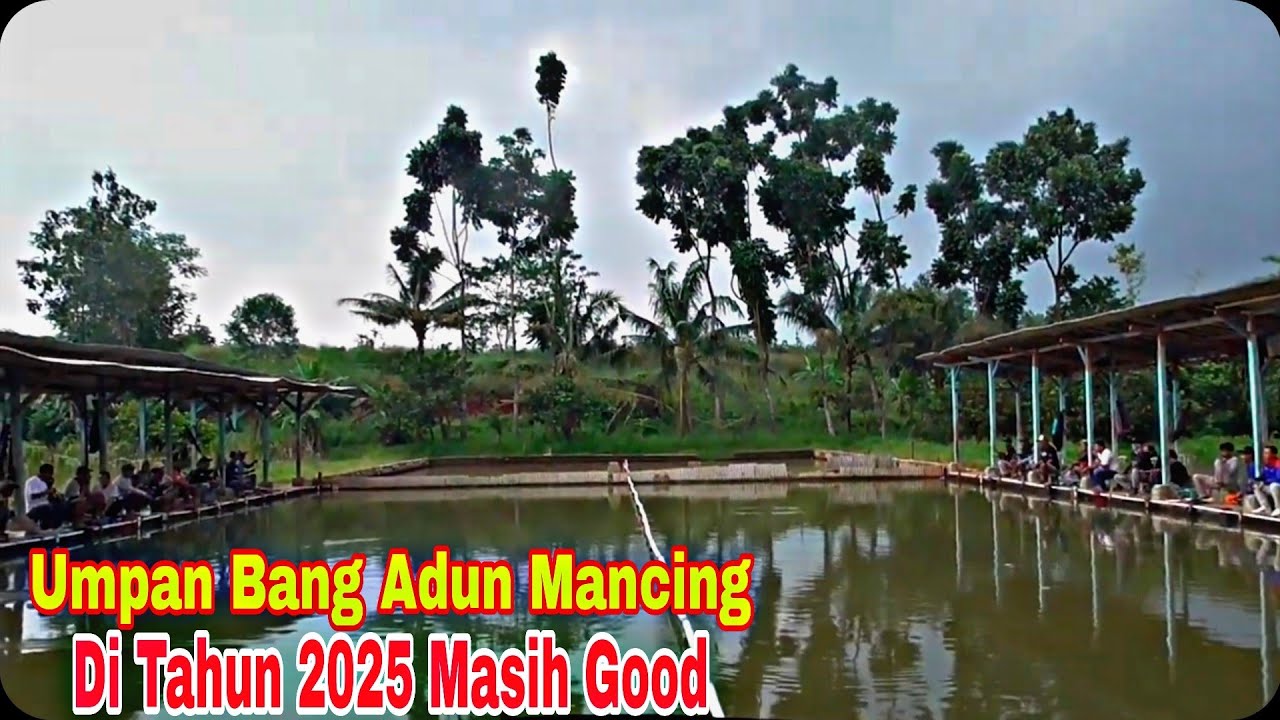 Umpan BAM Amis Putih Premium Adun Mancing #mancing #fishing #adunmancing
