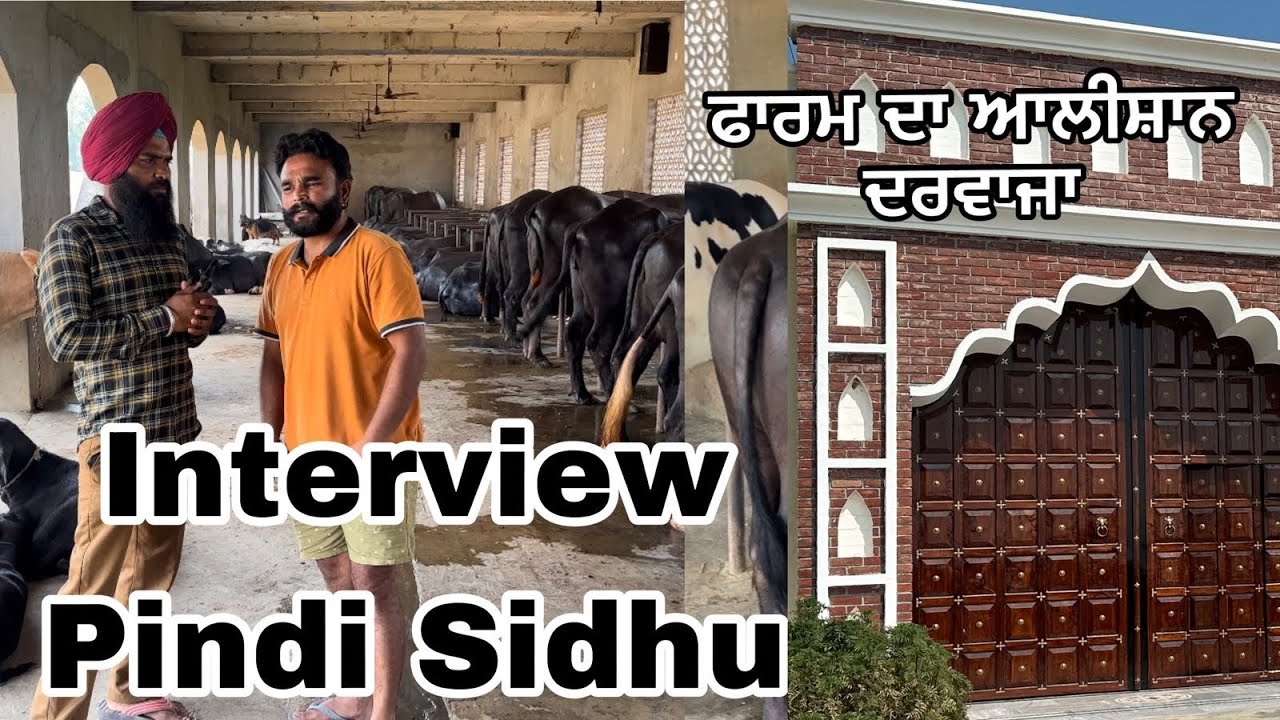 Pindi Sidhu farm