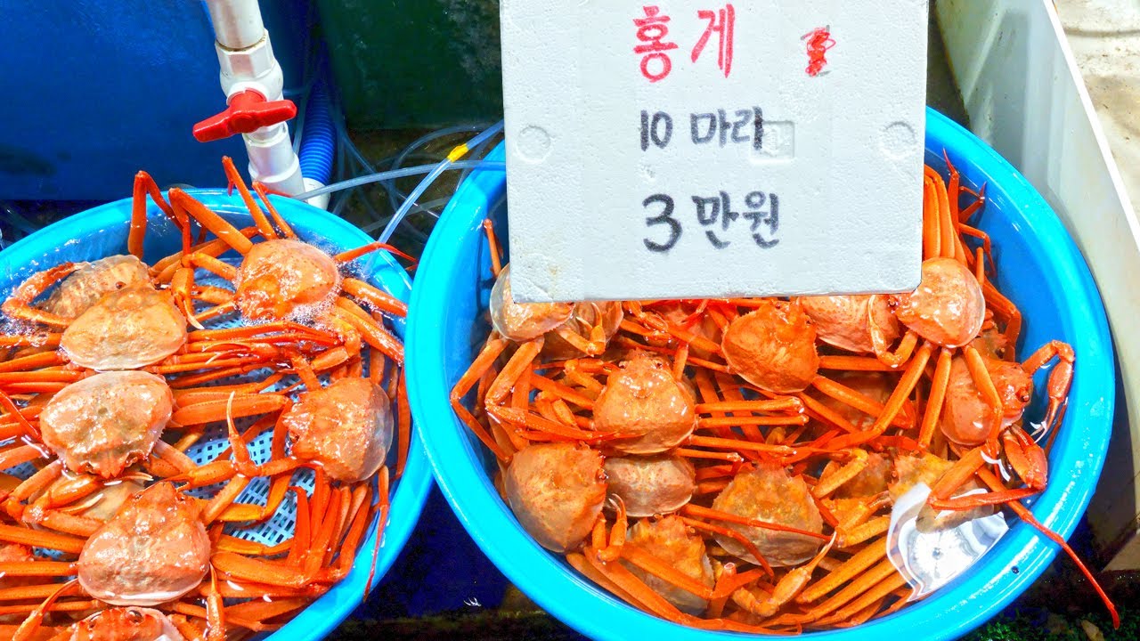 홍게 10마리 3만원의 진실, 과연 먹을만할까? 주는대로 담아 수율 체크 해봤습니다.(입질의 해산로드 #.24 주문진어민시장 편)