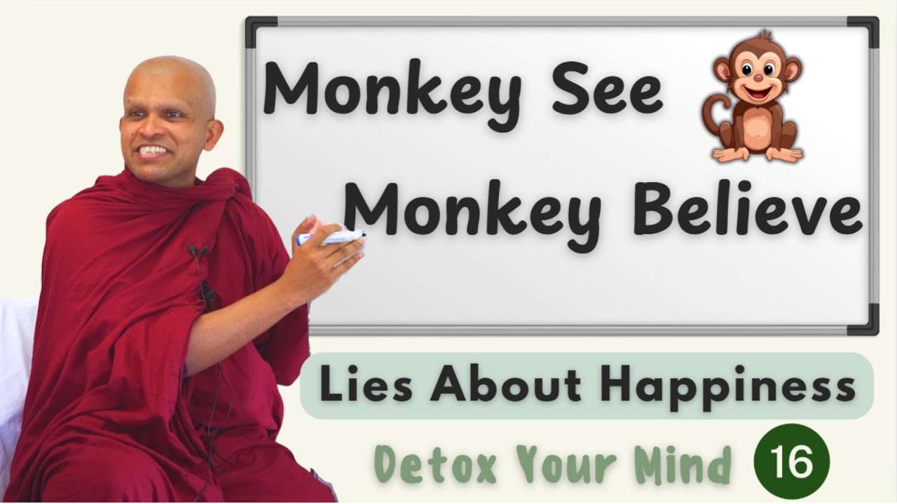 Monkey See, Monkey Believe - Lies About Happiness | Detox Your Mind Ep 16