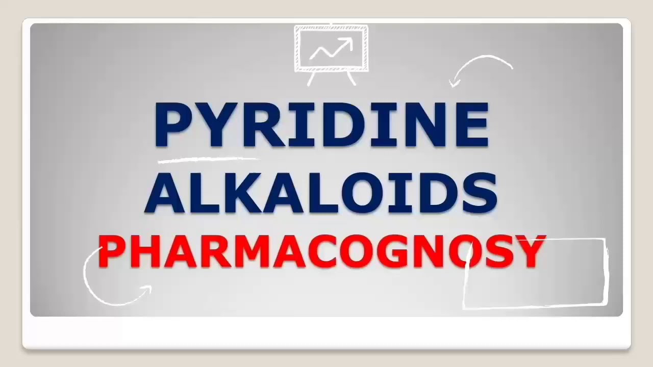 PHARMACOGNOSY - PYRIDINE ALKALOIDS