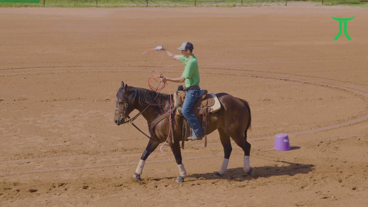 Allen Bach | Heading Drills II