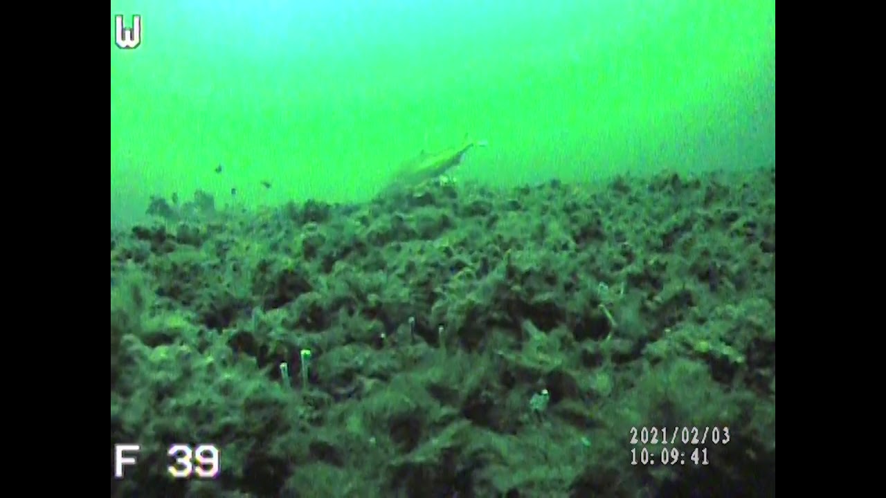 Eisfischen am Silsersee 2021
