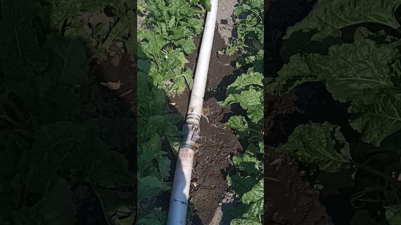 Насос Rovatti от ВОМ трактора для спринклерного полива сахарной свеклы