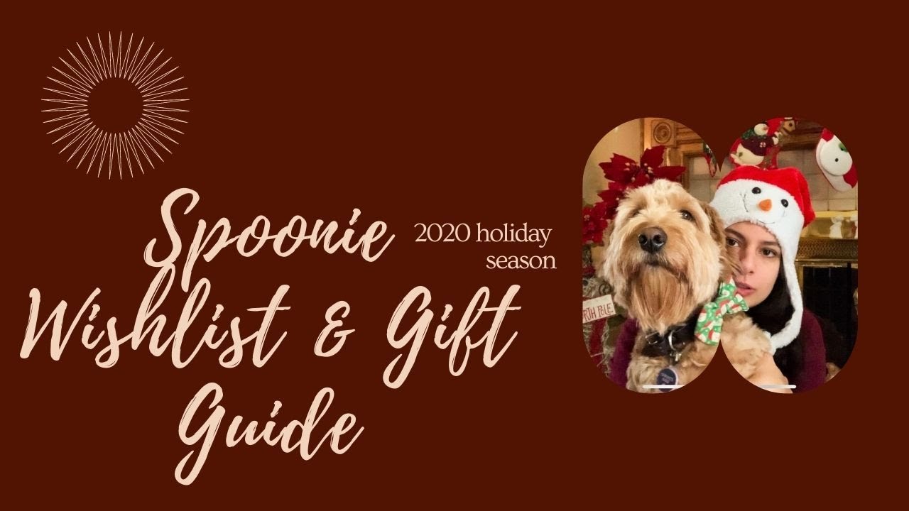 SPOONIE HOLIDAY WISHLIST & GIFT GUIDE
