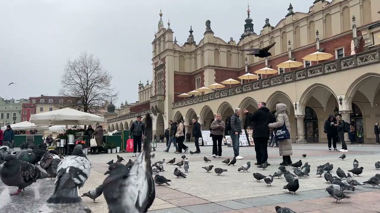 Krakk&oacute;, Főt&eacute;r: &Eacute;l&eacute;nk hangulat a Poszt&oacute;csarnokn&aacute;l