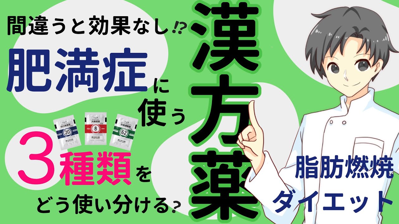 【ダイエット・肥満解消】防已黄耆湯・大柴胡湯・防風通聖散はどんな人に使うべき？それぞれの特徴や注意点【薬剤師が解説】