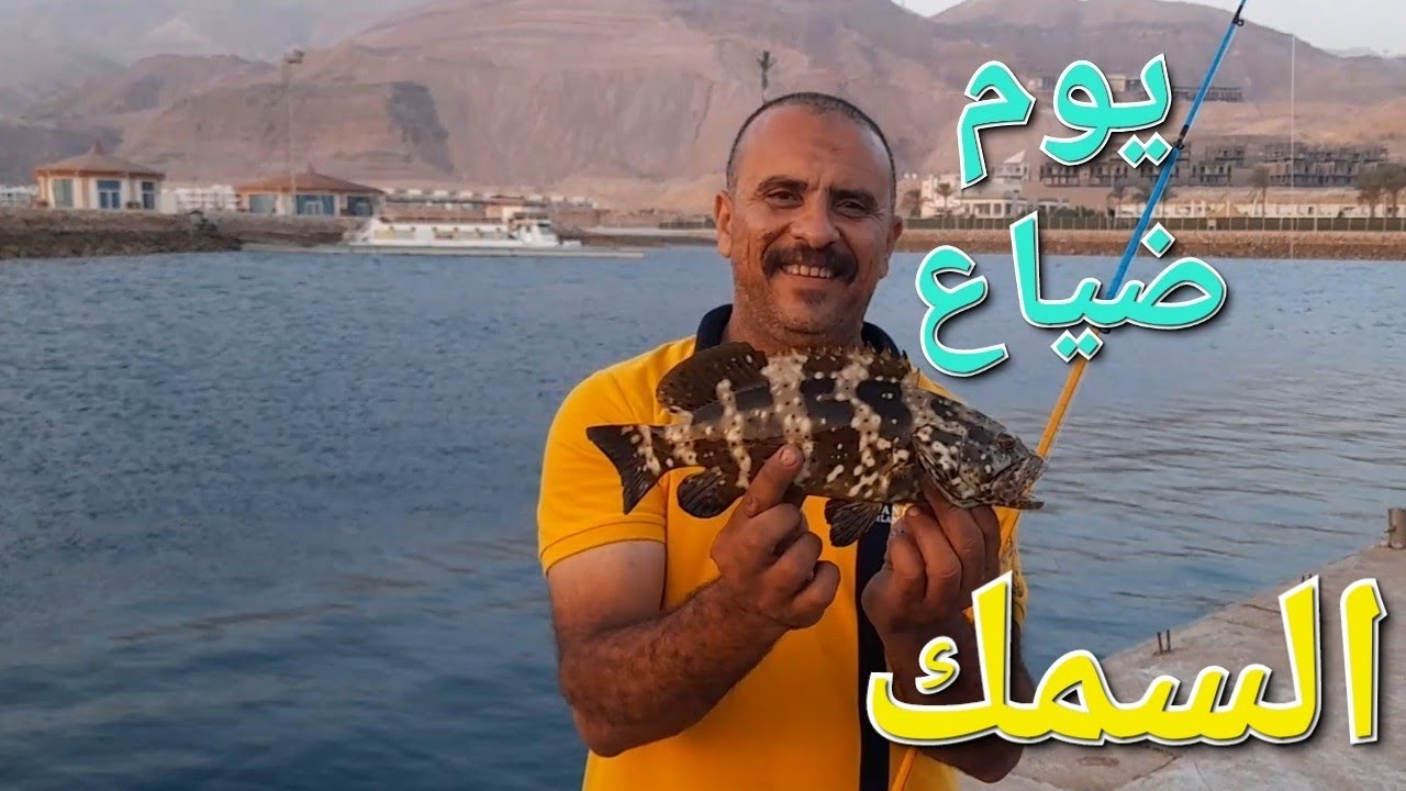#صيد هامور #ملفات السخنه #معلومه عنها