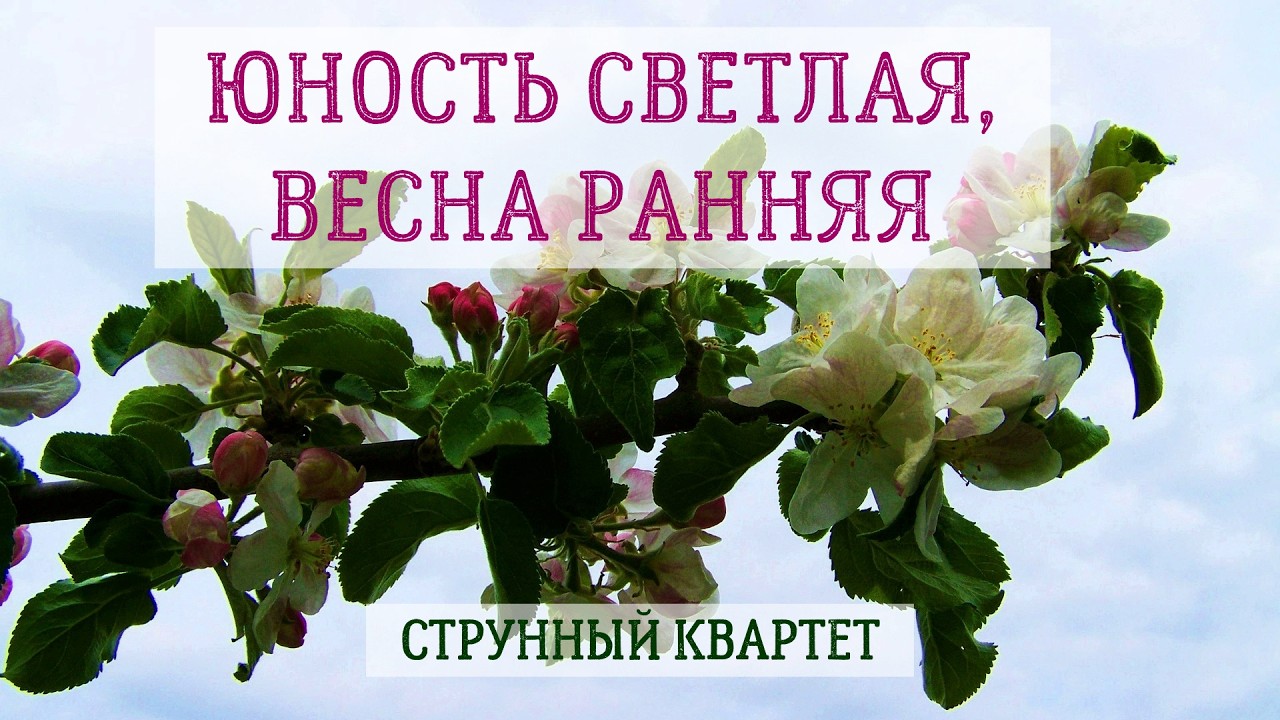 ЮНОСТЬ СВЕТЛАЯ [обр.Б.Сахарук] / струнный квартет