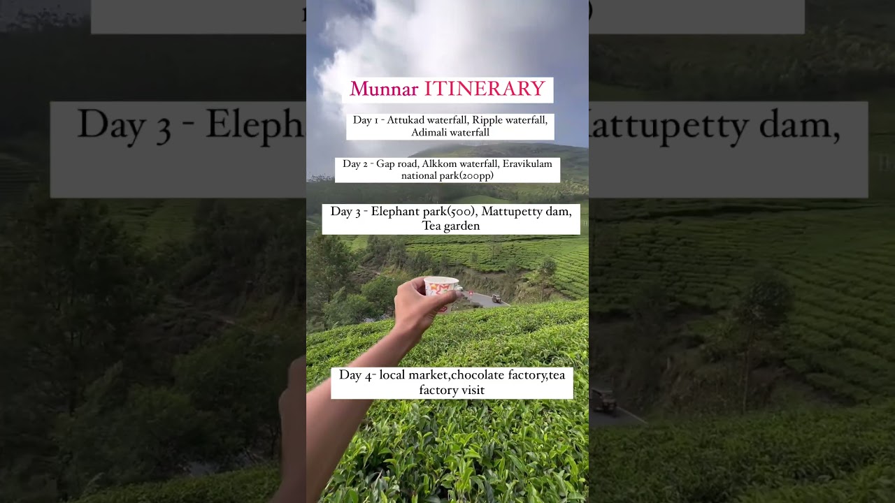 munnar itinerary |best places in munnar|munnar hill station