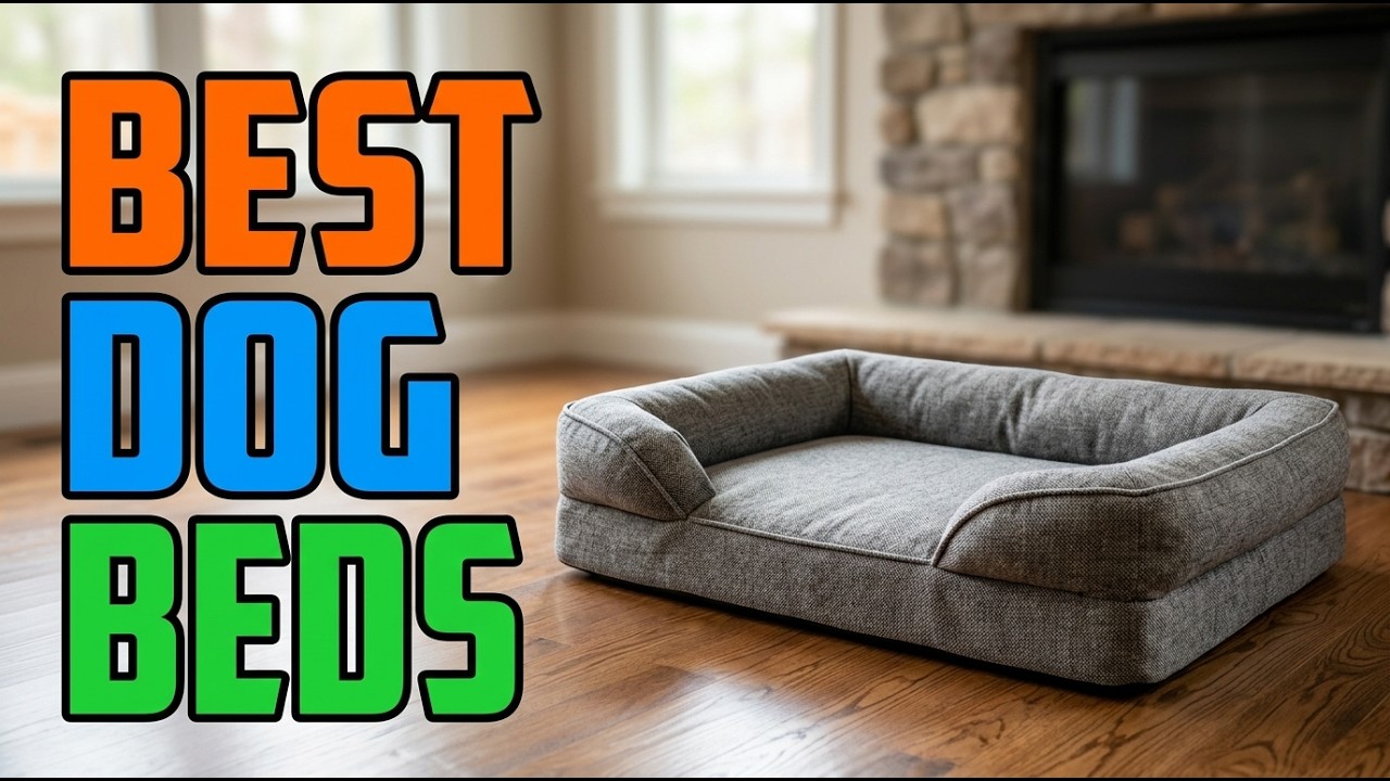 TOP 5 Best Orthopedic Dog Beds 2026