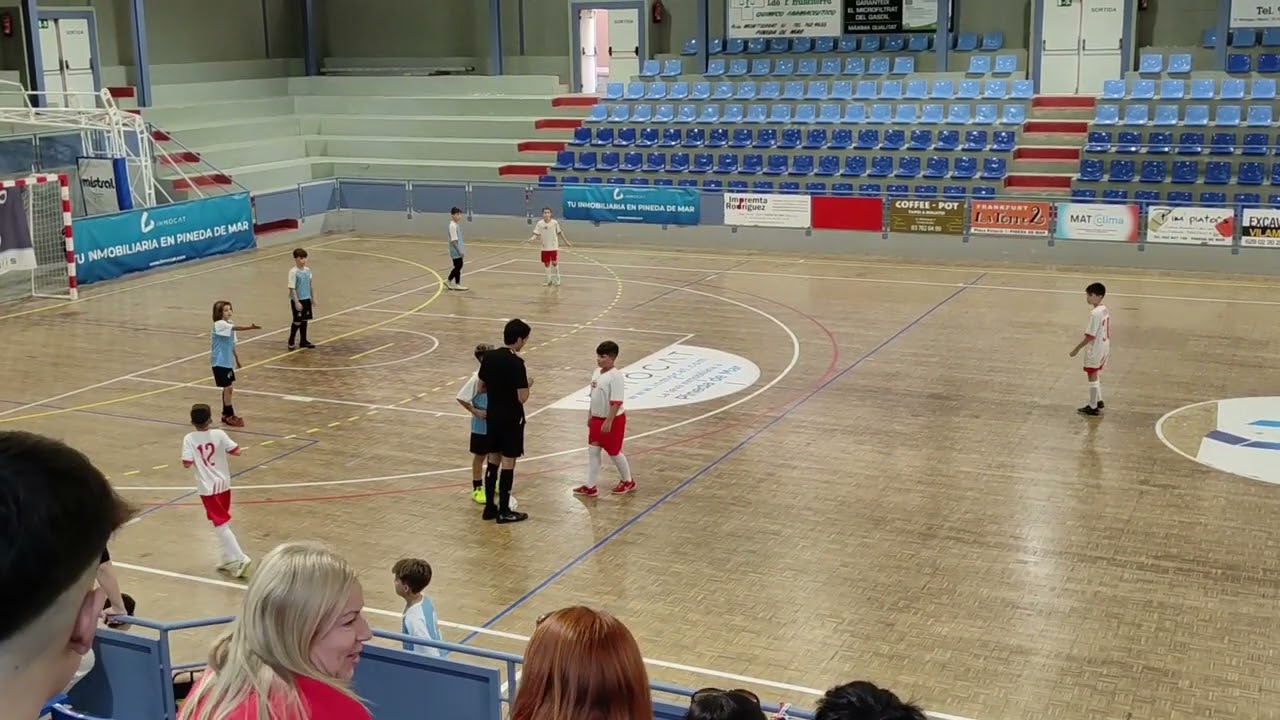 Pineda de Mar F.S. 6 - 4 Llinars F.S., A (aleví B)