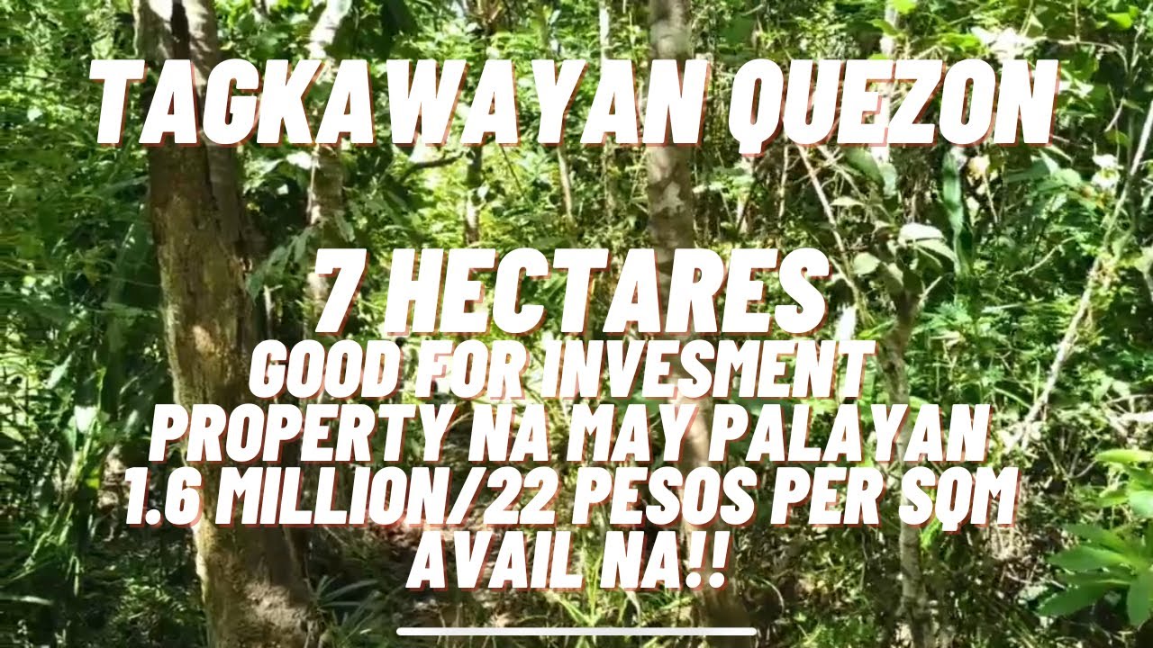 VLOG 99/ TAGKAWAYAN QUEZON/ 7 HECTARES NA PROPERTY MAY KASAMANG PALAYAN / 22 PESOS PER SQM/ AVAIL NA