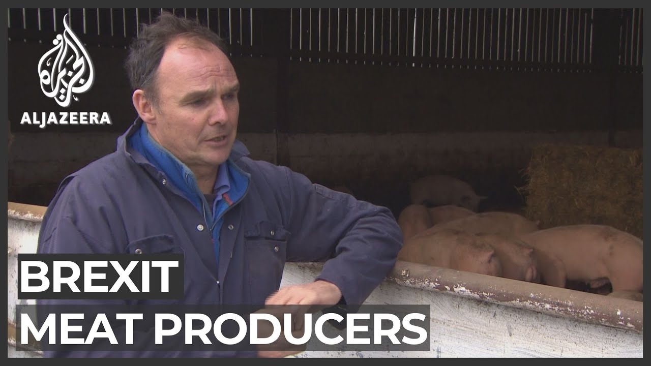 UK meat producers struggle to navigate new EU customs checks