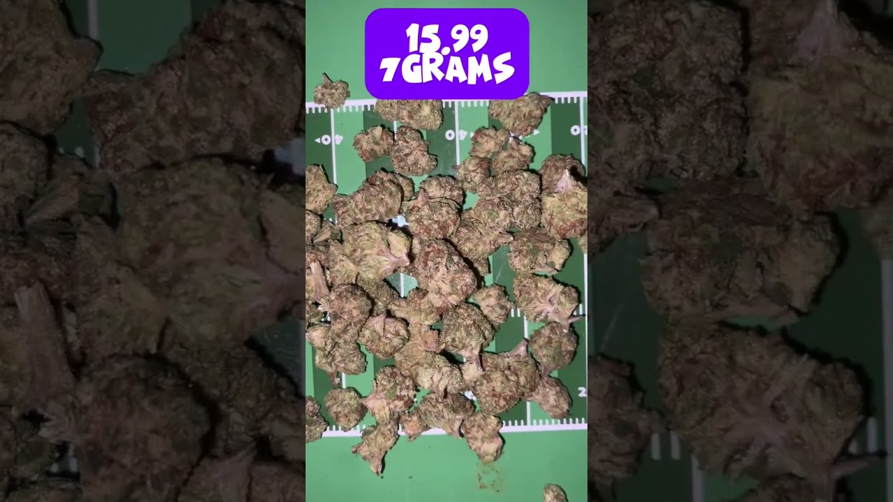 Purple punch #hempcommunity #weedcommunity #youtube